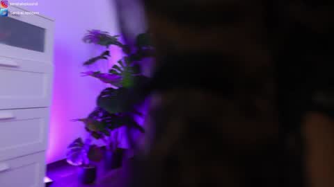 Sandra online show from 01/23/25, 08:45