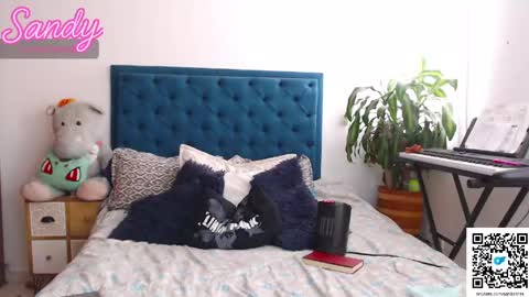 Sandy Prinss online show from 04/15/26, 04:03