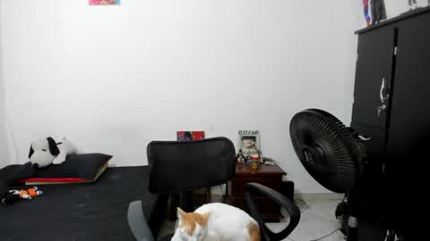 Snapshot of santiceballo chatting on 07/17/26, 06:09 Julius Novachrono online show from 07/17/26, 06:09