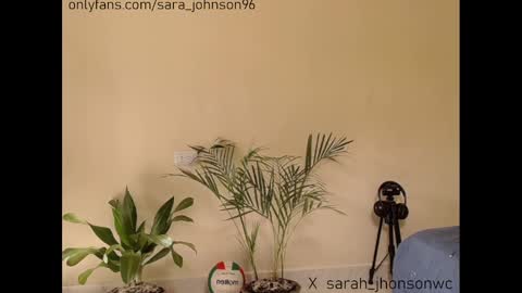 Snapshot of sara_johnson__ chatting on 12/12/24, 02:33 sara_johnson__ online show from 12/12/24, 02:33