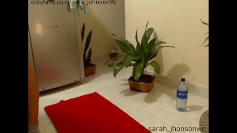Snapshot of sara_johnson__ chatting on 12/27/24, 05:48 sara_johnson__ online show from 12/27/24, 05:48