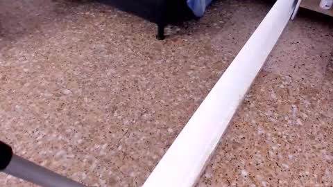 sara_salgado online show from 02/22/26, 11:09