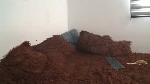 sara and thomas online show from 01/10/25, 09:10