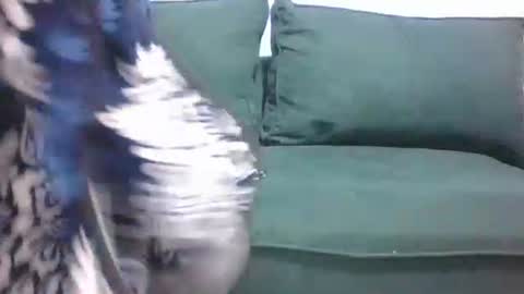 sarah_haggai online show from 11/04/25, 04:11