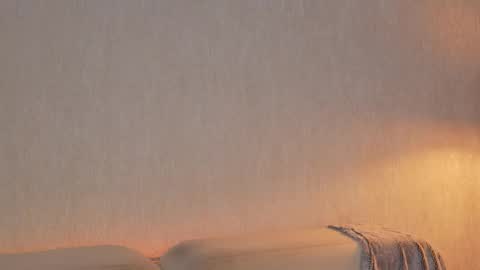       online show from 03/26/26, 11:32