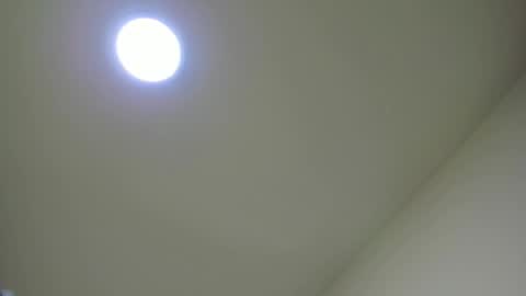   online show from 02/24/25, 11:54