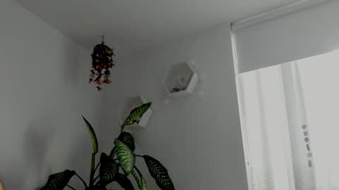 Saray  online show from 02/06/26, 10:46