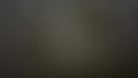 Snapshot of sarcosuchus chatting on 02/01/26, 04:38 TeaseHisDick online show from 02/01/26, 04:38