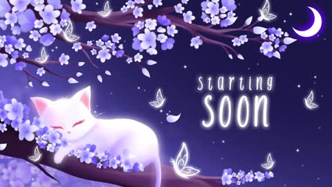 Snapshot of sassykittyn chatting on 01/03/25, 06:11 Sassy Sami Kittyn online show from 01/03/25, 06:11