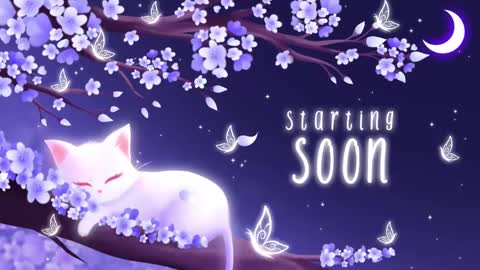 Snapshot of sassykittyn chatting on 02/17/25, 05:47 Sassy Sami Kittyn online show from 02/17/25, 05:47