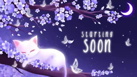 Snapshot of sassykittyn chatting on 03/10/25, 05:11 Sassy Sami Kittyn online show from 03/10/25, 05:11