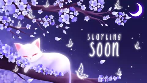 Snapshot of sassykittyn chatting on 09/22/25, 05:31 Sassy Sami Kittyn online show from 09/22/25, 05:31