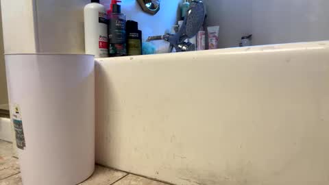 Snapshot of saucy_latino chatting on 03/01/26, 11:40 ElVergone online show from 03/01/26, 11:40