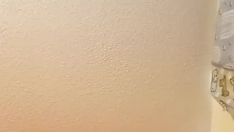 SnowBunny online show from 12/09/24, 03:44