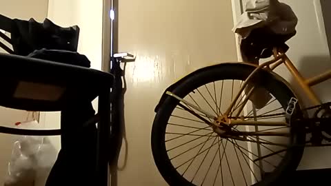 SnowBunny online show from 01/02/25, 10:58