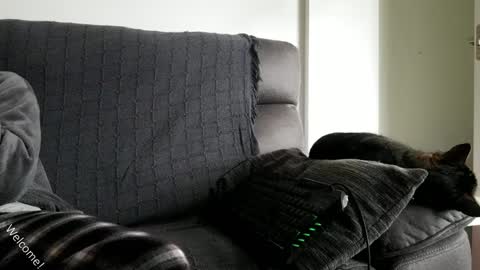 saulcontigo online show from 01/28/25, 10:23