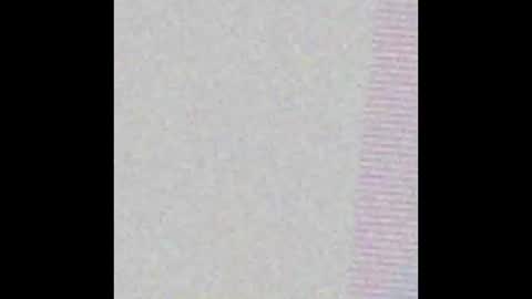 petperson04 online show from 03/20/26, 11:26