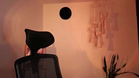 Venus online show from 11/20/25, 01:55