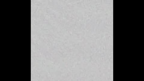 Venus online show from 11/23/25, 02:50