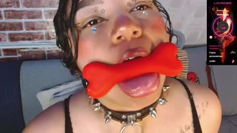 Scarlet online show from 03/25/26, 06:19