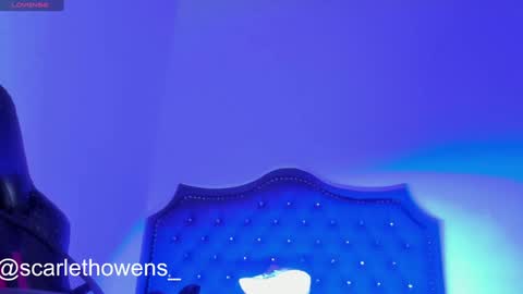 Snapshot of scarleth_owens1 chatting on 12/29/24, 09:50    online show from 12/29/24, 09:50