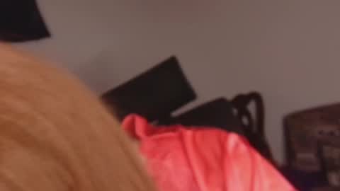 scarlet online show from 02/23/26, 01:19