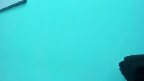 scarlett_fox20 online show from 05/13/26, 01:30