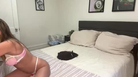 Scarlett online show from 02/25/26, 09:46