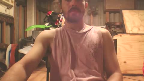 scincere369 online show from 03/01/26, 08:16