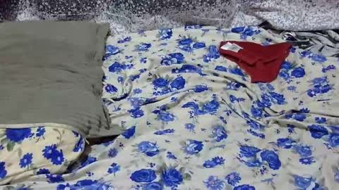 Its Lilly online show from 01/25/25, 03:09