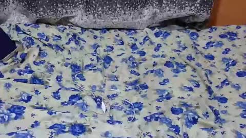 Its Lilly online show from 01/27/25, 07:03