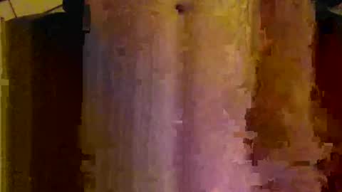 scott1usa online show from 12/24/24, 08:22