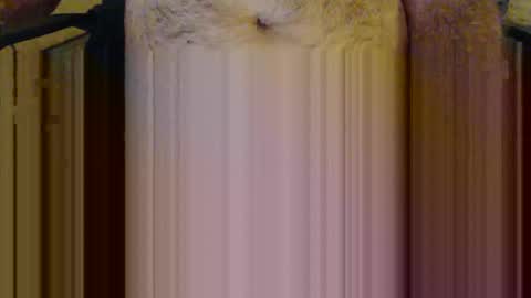 scott1usa online show from 03/06/26, 09:00