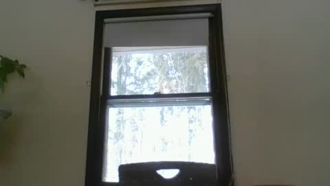 scottpbi52 online show from 02/19/25, 03:16