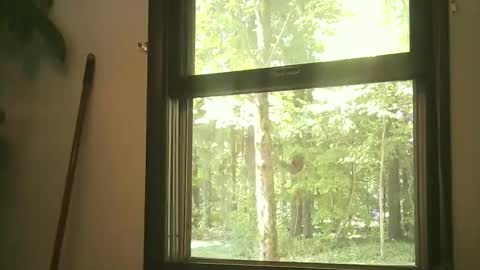 scottpbi52 online show from 09/15/25, 04:29