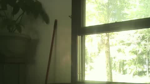 scottpbi52 online show from 09/30/25, 02:44