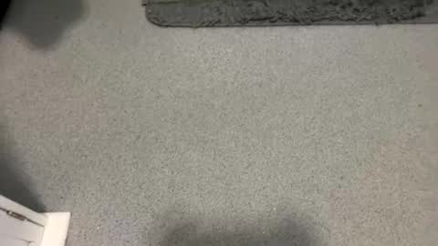 Snapshot of scottyc48 chatting on 10/05/25, 02:04 scottyc48 online show from 10/05/25, 02:04