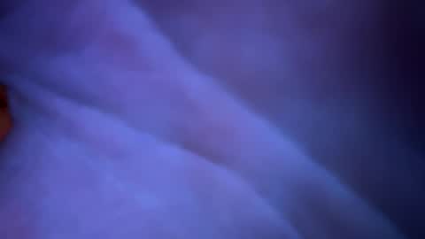 scottyn69 online show from 01/22/25, 01:31