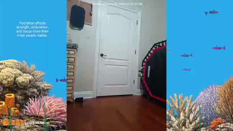 ScrubbyLuv online show from 02/26/26, 07:07