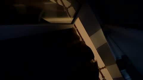 sdddisk online show from 01/22/25, 07:45