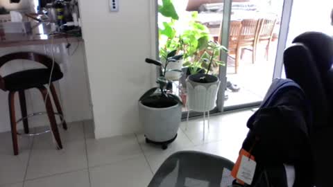 Snapshot of sebastianalll chatting on 12/30/24, 12:22 sebastianalll online show from 12/30/24, 12:22