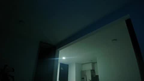 Snapshot of sebolaz chatting on 09/23/25, 03:09 ryan miller online show from 09/23/25, 03:09