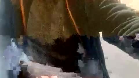 sebtin1979 online show from 02/23/26, 02:36