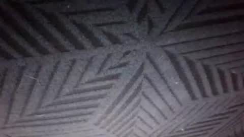 Sunny online show from 03/12/26, 06:36