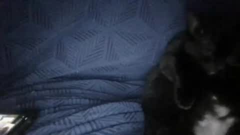 Sunny online show from 03/18/26, 05:27