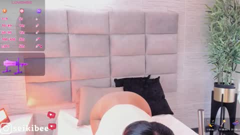 seikibee online show from 02/21/26, 04:24