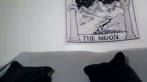 seitans curse666 online show from 04/29/26, 06:28