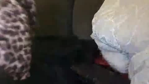 Snapshot of selfiepicdump chatting on 12/10/24, 04:45 Julian Kinky Bi-guy online show from 12/10/24, 04:45