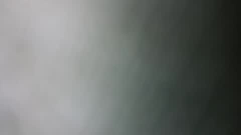 Snapshot of selfiepicdump chatting on 12/16/24, 04:23 Julian Kinky Bi-guy online show from 12/16/24, 04:23