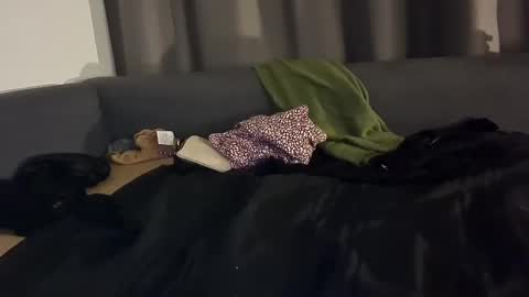 Snapshot of selfiepicdump chatting on 01/03/25, 05:06 Julian Kinky Bi-guy online show from 01/03/25, 05:06